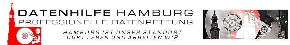 DATENHILFE HAMBURG LOGO